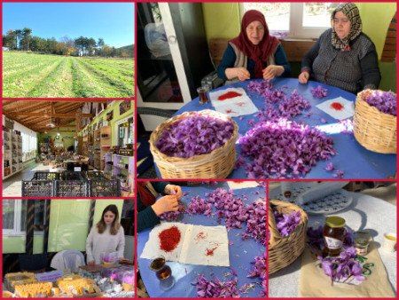 083 Safran festival at Safranbolu